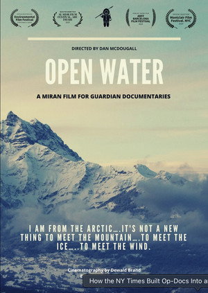 Póster de la película Open Water