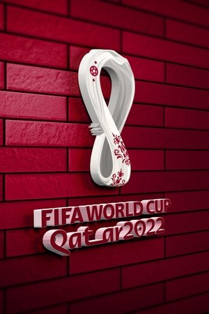 2022 FIFA World Cup Qatar Final Argentina vs France