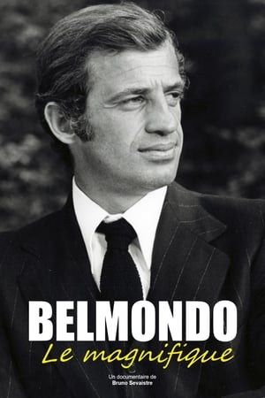 Póster de la película Belmondo, le magnifique