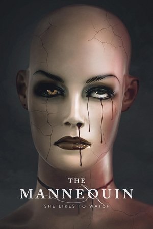 Póster de la película The Mannequin