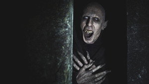 Vampires en toute intimité