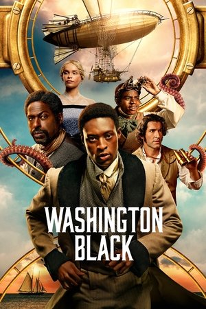 watch washington black tv show poster