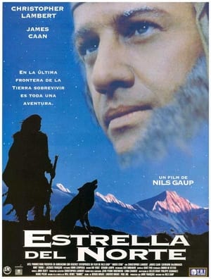 Póster de la película North Star