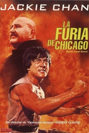 Póster de la película La furia de Chicago