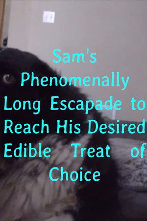 Sam's Phenomenally Long Escapade to Reach His Desired Edible Treat of Choice