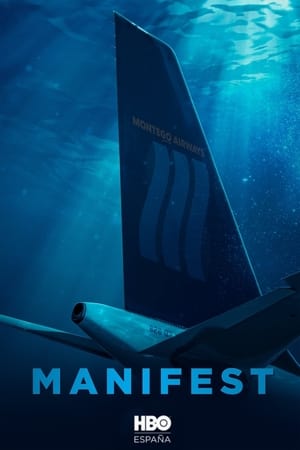 Póster de la serie Manifest