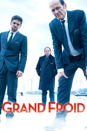 Film Grand froid streaming VF gratuit complet