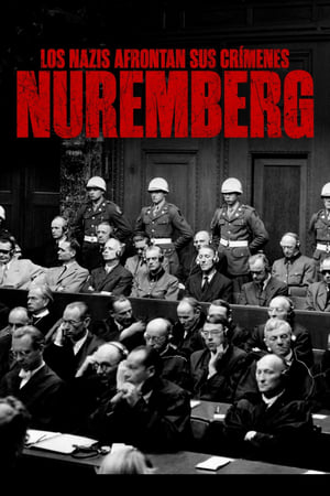 Póster de la película La película perdida de Núremberg