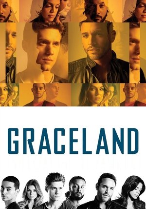 Póster de la serie Graceland