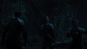 The Hunger Games: Catching Fire