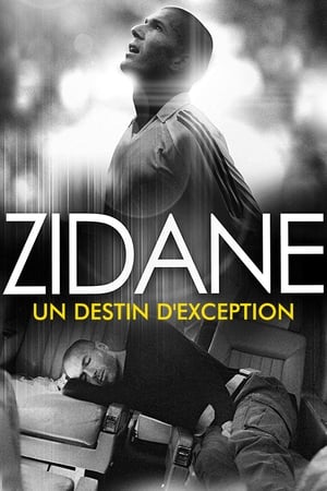 Póster de la película Zidane, un destin d'exception