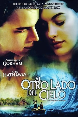 Póster de la película Al otro lado del cielo