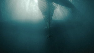 Jurassic World Rebirth