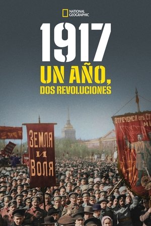 Póster de la película 1917: Un año, dos revoluciones