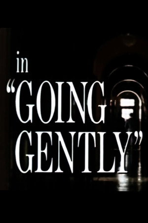 Póster de la película Going Gently