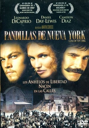 Póster de la película Gangs of New York