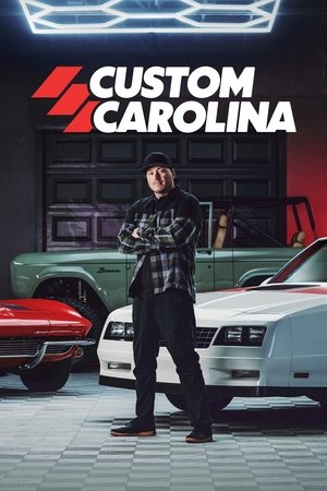 watch custom carolina tv show poster