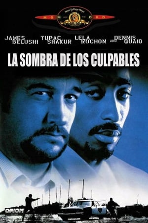 Póster de la película La sombra de los culpables