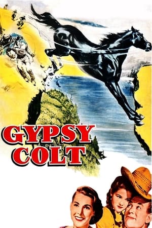 Póster de la película Gypsy Colt