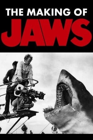 Póster de la película El Making of de Steven Spielberg 'Tiburón'
