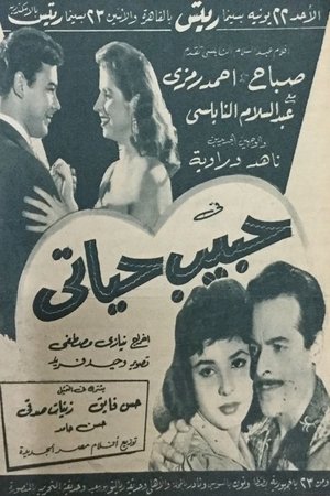 Póster de la película حبيب حياتي