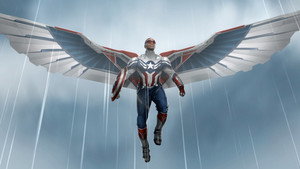 The Falcon and the Winter Soldier