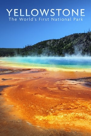 Póster de la película National Parks Exploration Series: Yellowstone