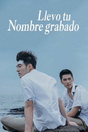 Póster de la película Llevo tu nombre grabado