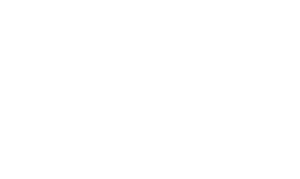 Who Killed Robert Wone?