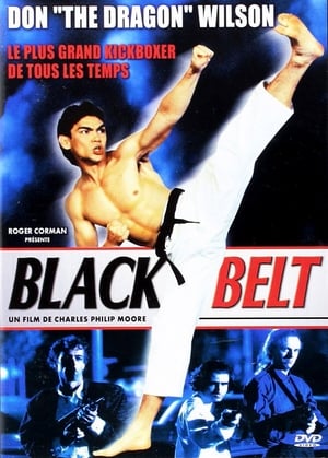 Blackbelt Streaming VF VOSTFR