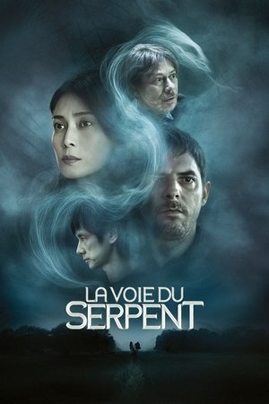 Póster de la película 蛇の道