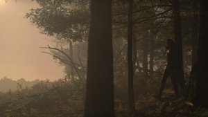 The Hunger Games: Mockingjay - Part 2