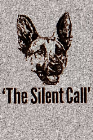Póster de la película The Silent Call