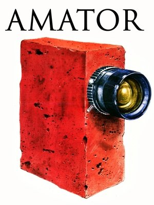 Póster de la película El aficionado