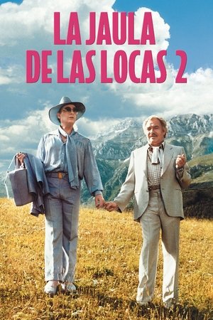 Póster de la película La jaula de las locas 2