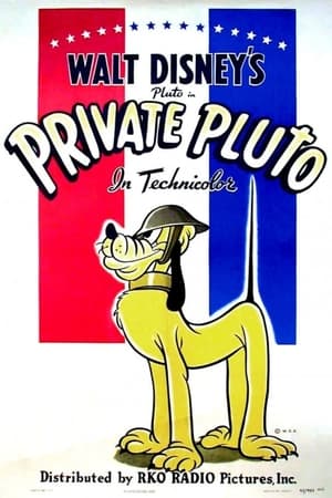 Póster de la película Soldado Pluto