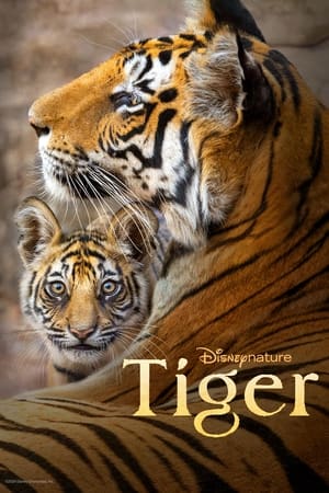 Póster de la película Tigres