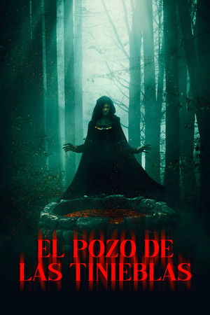 Póster de la película The Well