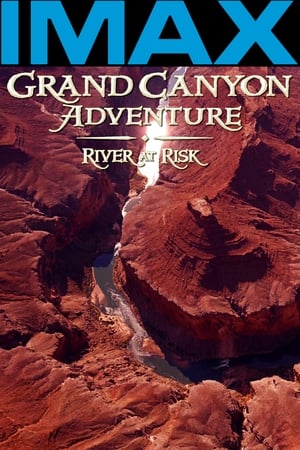 Póster de la película Aventura en el Gran Cañón: El río en peligro