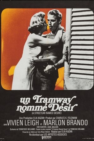 Un tramway nommé Désir Streaming VF VOSTFR