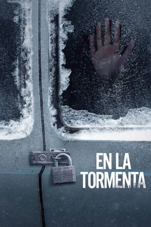 Póster de la película En la tormenta