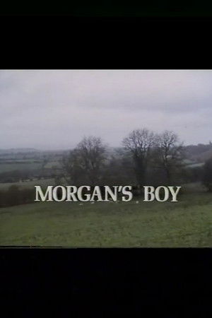 Morgan's Boy
