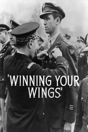 Póster de la película Winning Your Wings