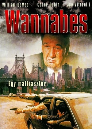 Póster de la película Wannabes