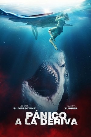 Póster de la película Pánico a la deriva