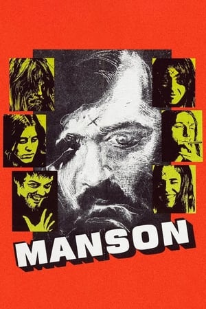 Póster de la película Manson