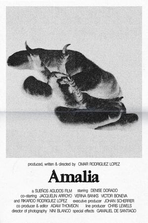 Póster de la película Amalia