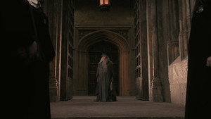 Harry Potter and the Order of the Phoenix