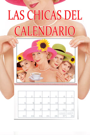 Póster de la película Las chicas del calendario