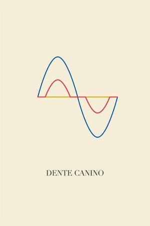 Dente Canino